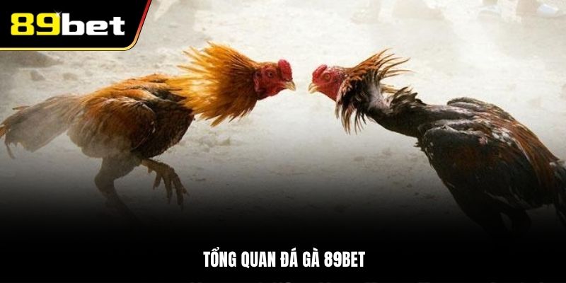 Tổng quan đá gà 89BET
