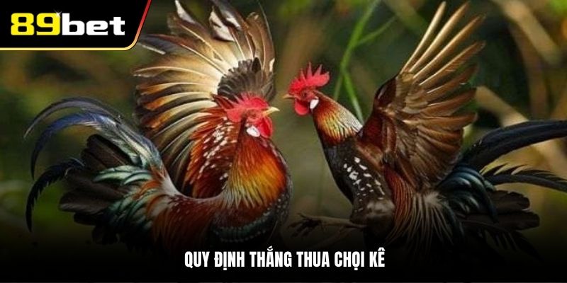 Quy định thắng thua chọi kê
