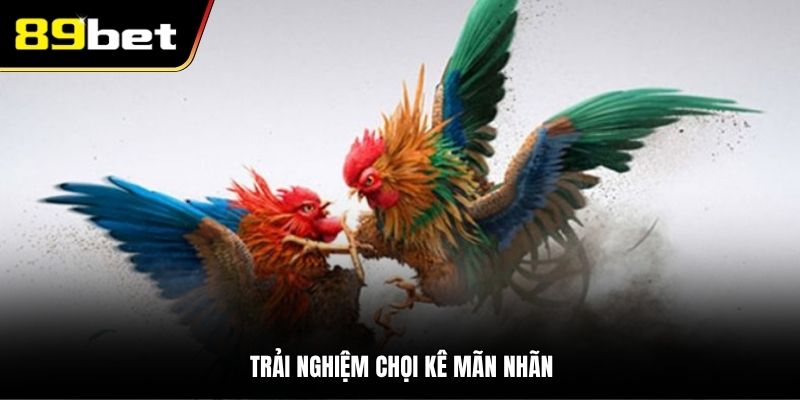 Trải nghiệm chọi kê mãn nhãn