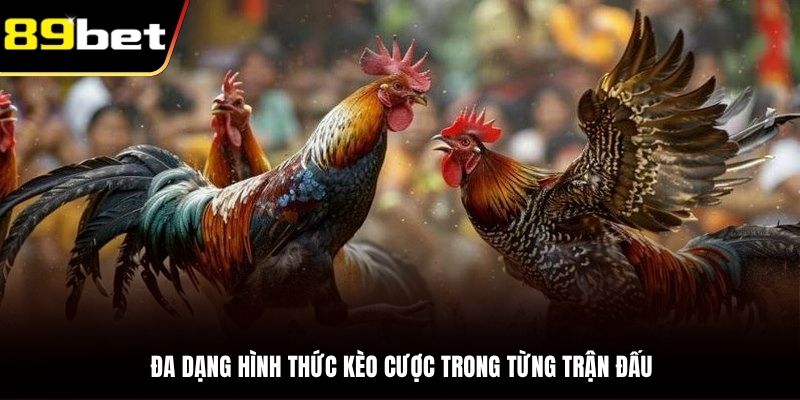Nhiều lựa chọn cá cược tham gia đá gà trực tiếp Thomo