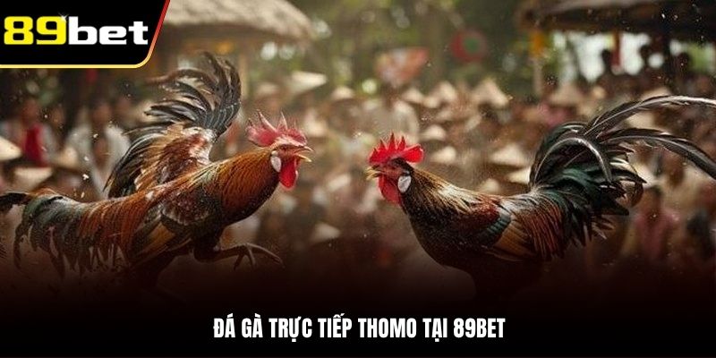 da-ga-truc-tiep-thomo